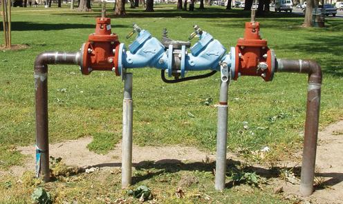 Backflow Device